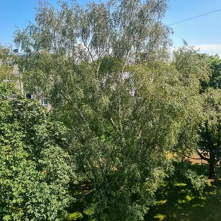 Appartement Tammsaare 28